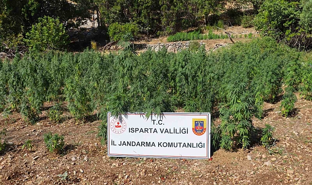 Isparta'da uyuşturucu operasyonu