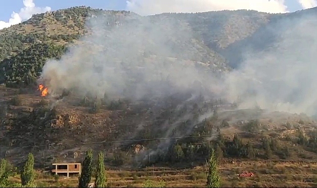 İspir&#039;de orman yangını