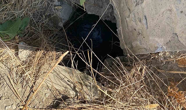 İtfaiye ekipleri kuyuya düşen yavru köpeği kurtardı