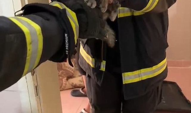 İtfaiye ekipleri, yaramaz yavru kediyi kurtardı