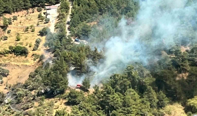 İzmir&#039;de ormanlık alanda yangın