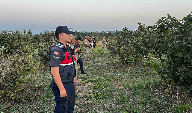 Jandarma, yaşanan fındık hırsızlıklarını önlemek amacıyla tarlalarda nöbet tutmaya başladı