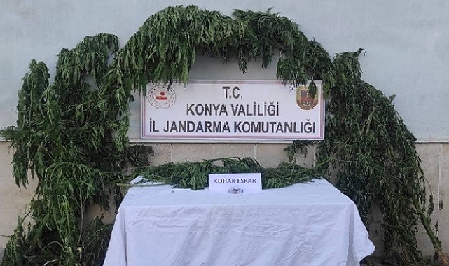 Jandarmanın düzenlediği uyuşturucu operasyonunda 5 şüpheli gözaltına alındı