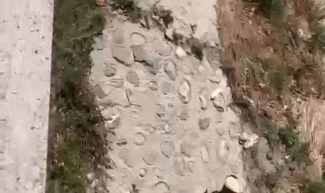 Kanadı kırılan ve derede mahsur kalan yaralı martıyı, iftaiye ekipleri kurtardı