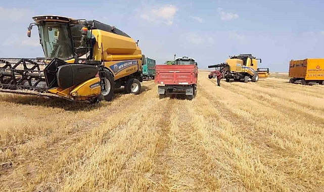 Karslı çiftçiler hububat hasadına başladı