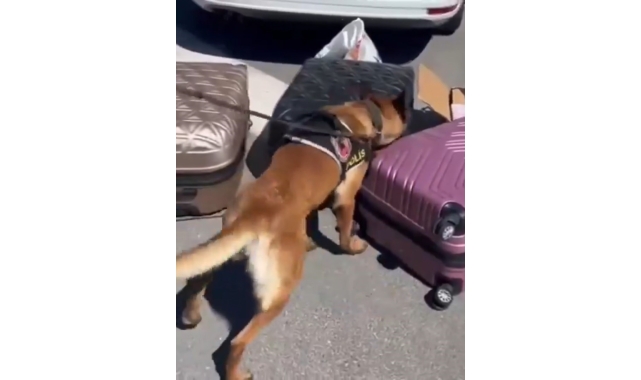 Kayseri&#039;de 41 kilo uyuşturucu ele geçirildi