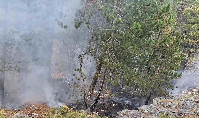 Kazdağları&#039;nda yangına havadan müdahale sürüyor