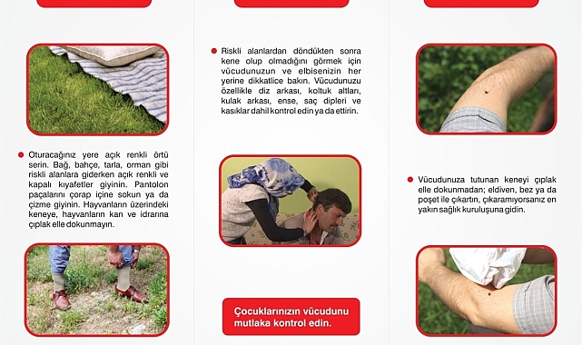 &quot;Kene çıplak el ile öldürülmemeli&quot;