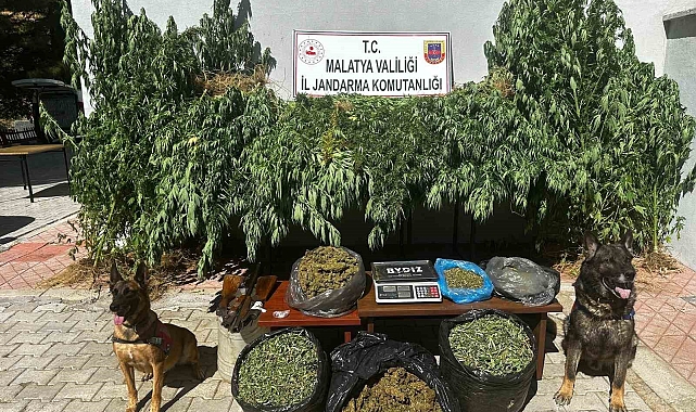 Malatya&#039;da 11,5 kilogram kubar esrar ele geçirildi: 2 gözaltı