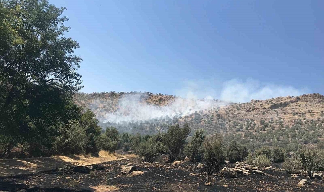 Mardin&#039;de ormanlık alanda çıkan yangın söndürüldü