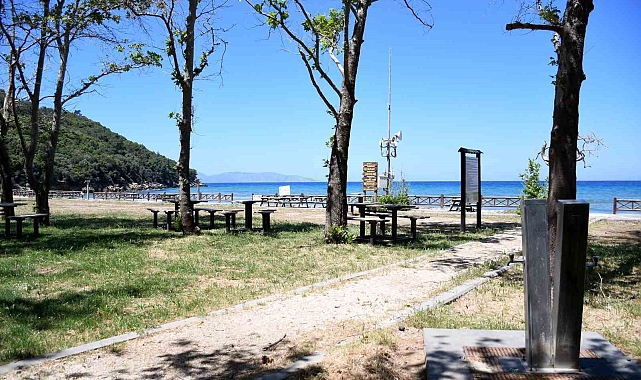 Milli Park orman yangınları sebebiyle ziyaretçilere kapatıldı