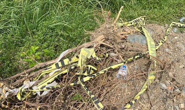 Mısır tarlasına atılan bebekle ilgili gözaltına alının 4 kişiden 1&#039;i tutuklandı