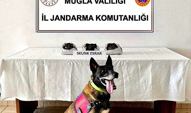 Muğla&#039;da uyuşturucu operasyonu