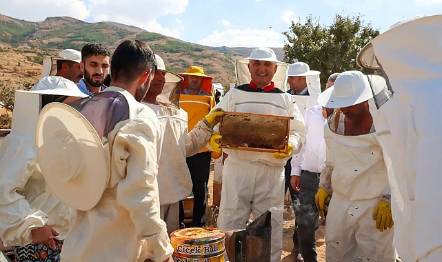 Muş&#039;ta 600 ton bal hasadı bekleniyor