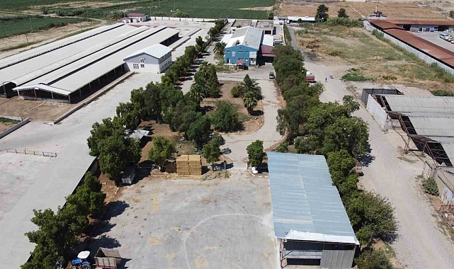 Nazilli Belediye Mezbahası&#039;nda Yeni Dönem Başladı