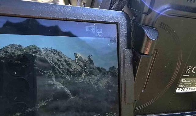 Oltu&#039;da yaban hayatına yönelik çalışmalar sürüyor