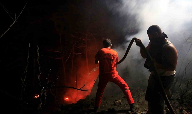 Orman işçisi metrelerce aşağı yuvarlandı, kalkıp görevine devam etti