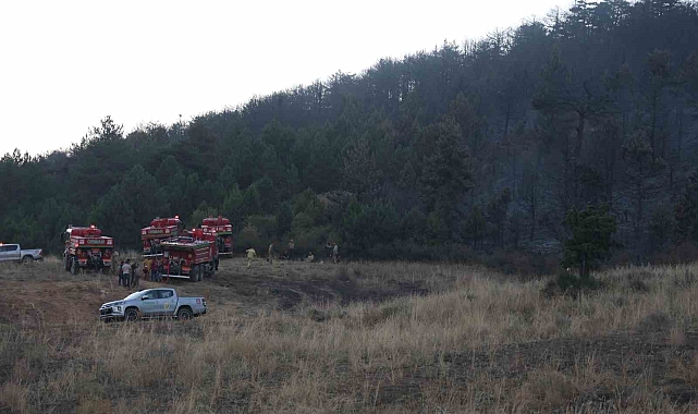 Orman yangında 15 hektarlık alan kül oldu
