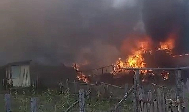 Orman yangını evlere sıçradı
