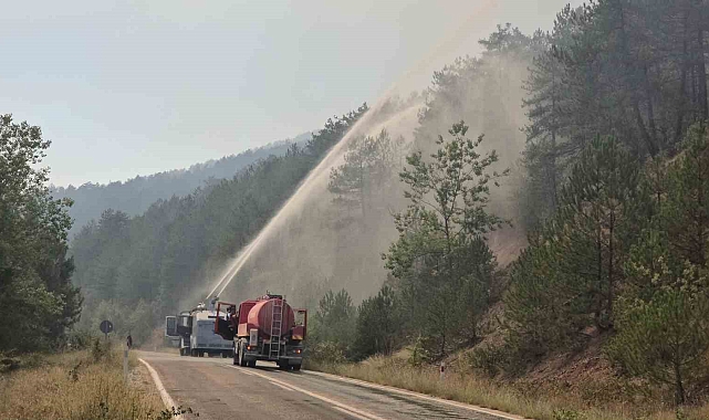 Orman yangını rüzgarın etkisiyle yayılıyor