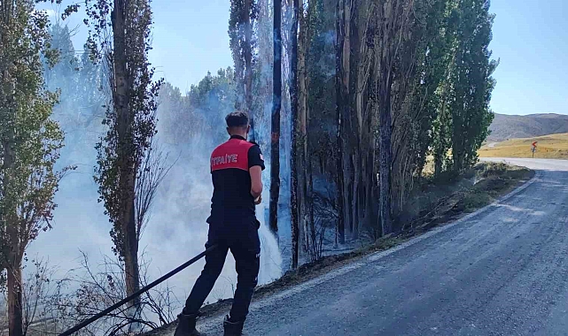 Otluk alanda çıkan yangında yüzlerce ağaç kül oldu