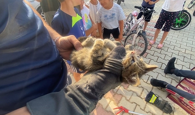 Otomobilin motor kısmına giren yavru kedi, uzun uğraş soncunda kurtarıldı