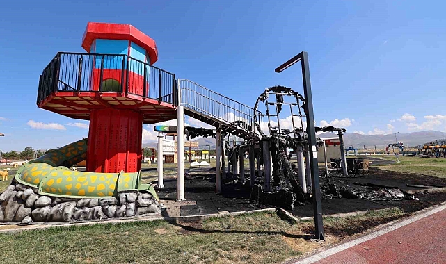 Park yangınında failler tespit edildi