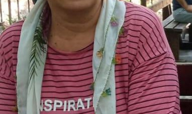 Parke taşıyla eşini öldürdü