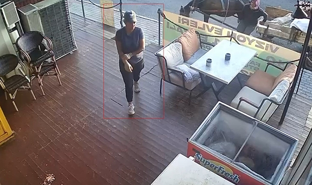 Pes dedirten hırsızlık