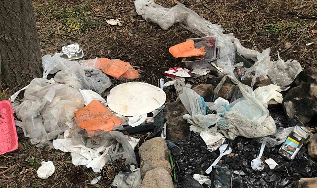 Piknikçiler Sarıkamış ormanını çöplüğe çevirdi
