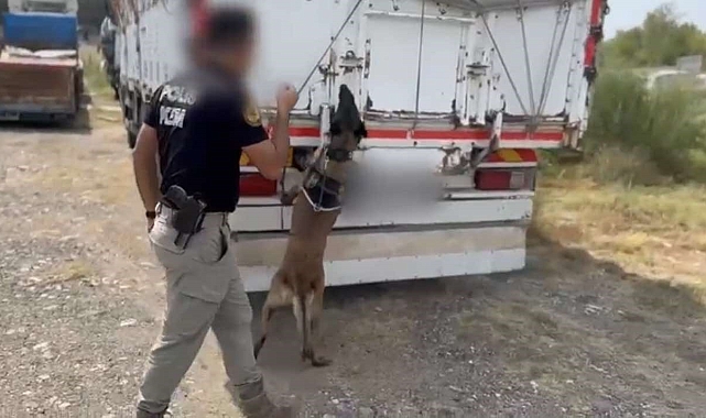 Saman balyaları arasında uyuşturucu sevkiyatı: 4 tutuklama