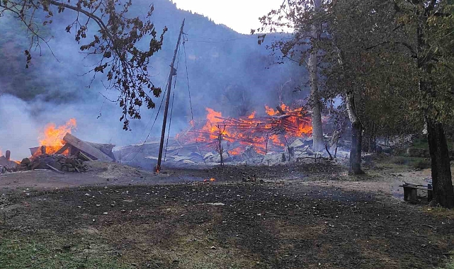 Şavşat&#039;ta yangın: 3 ev kullanılamaz hale geldi