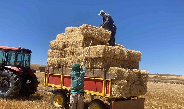 Sıcak hava çiftçileri zorluyor
