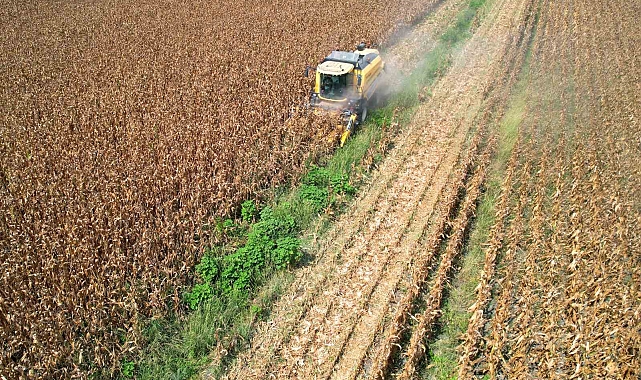Sıcak hava mısırı vurdu