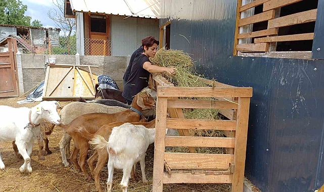 Şifayı köyde buldu