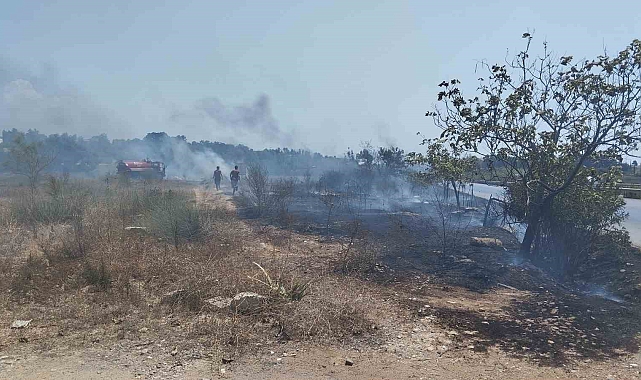 Sigara izmariti yangına neden oldu