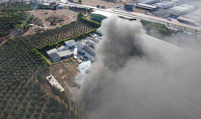 Sirena Marine'nin yat fabrikasında yangın çıktı