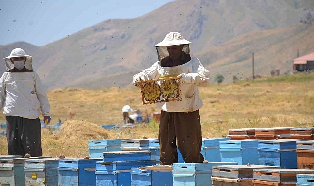 Şırnaklı arıcılar, gezginci arıcılar için tedirginlik yaşadıklarını belirtti