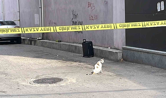 Şüpheli valiz fünye ile patlatıldı