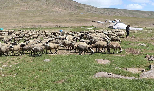 &quot;Tarımda örgütlenme önemli bir faktör&quot;