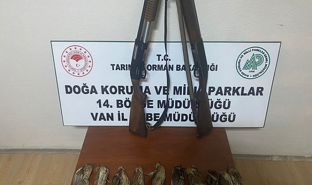 Van'da kaçak Bıldırcın avlayanlara 98 bin 106 lira ceza uygulandı