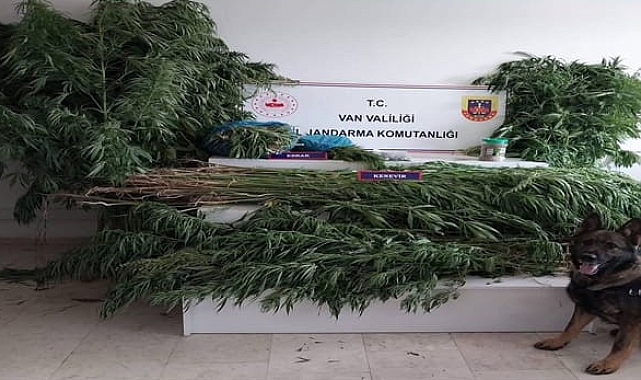 Van'da Van'da jandarma ekiplerince 47 kilo uyuşturucu ele geçirildi
