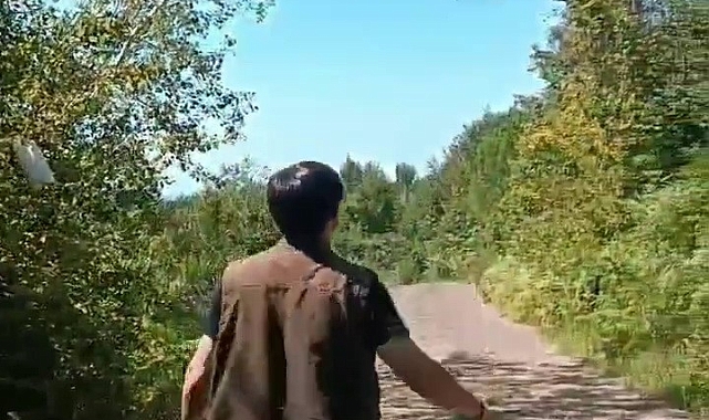 Yaralı şahin başarılı bir rehabilitasyon sürecinin ardından doğaya kavuştu