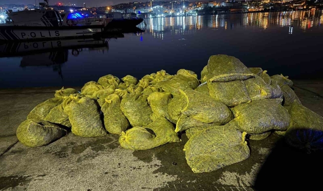 Yasak yolla 2 ton midye çıkardı: 26 bin TL cezai işlem uygulandı