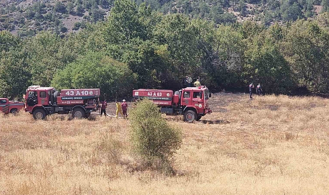 Yıldırım düşmesi sonucu çıkan yangında, 3 dönüm ormanlık alan zarar gördü