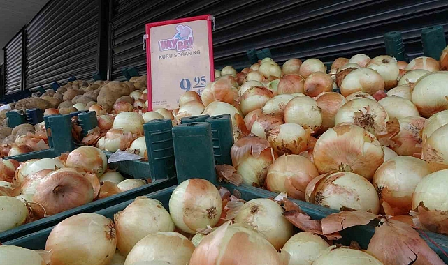 Yozgat&#039;ın Aydıncık ilçesinde yer alan Kümbet Ova&#039;da kuru soğan hasadı başlad