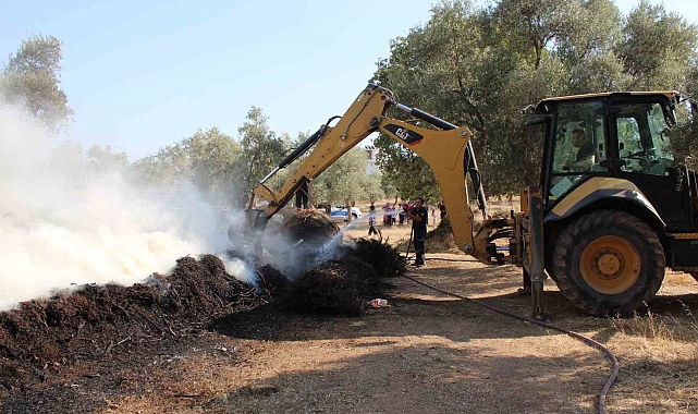 Zamanında müdahale evleri yanmaktan kurtardı