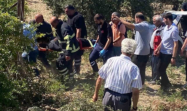 Zeytinliğe uçan otomobildeki 2 kişi yaralandı