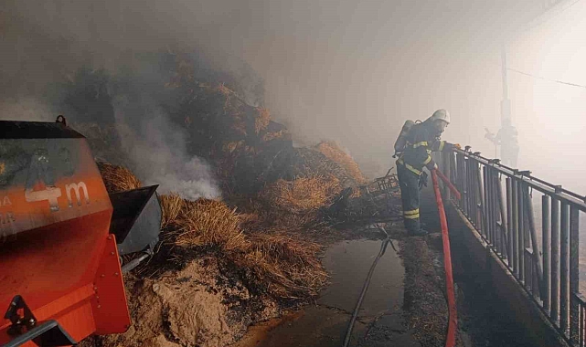 250 balya saman kül oldu