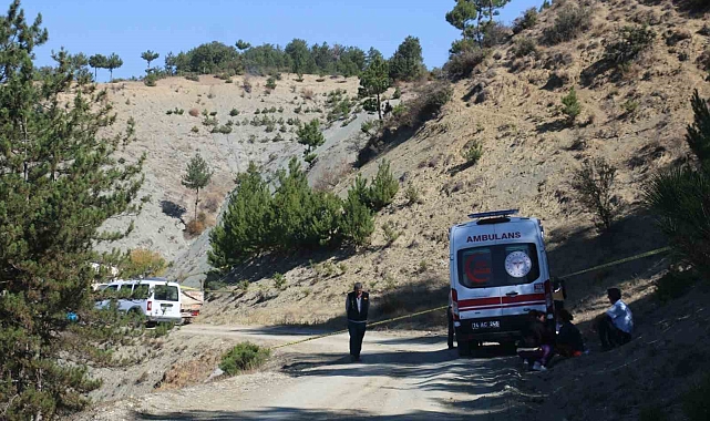 35 yaşındaki adam ağaca asılı halde ölü bulundu